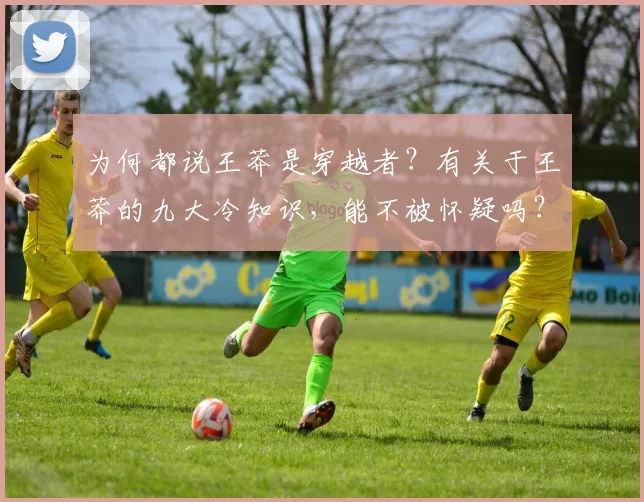 为何都说王莽是穿越者？有关于王莽的九大冷知识，能不被怀疑吗？