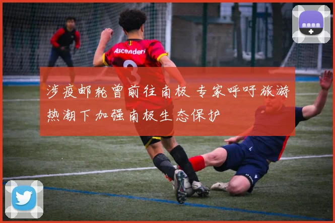 涉疫邮轮曾前往南极 专家呼吁旅游热潮下加强南极生态保护