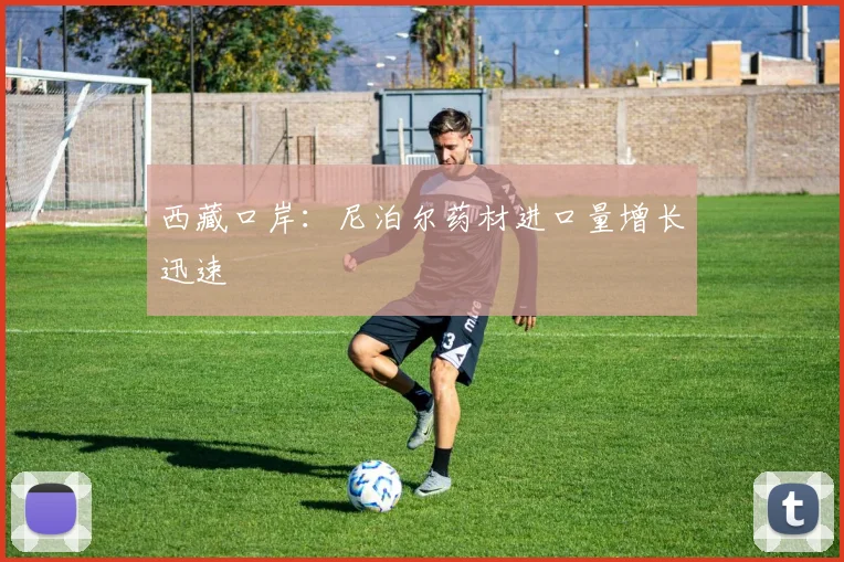 西藏口岸：尼泊尔药材进口量增长迅速