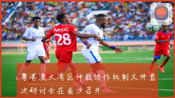 粤港澳大湾区仲裁协作机制文件首次研讨会在南沙召开